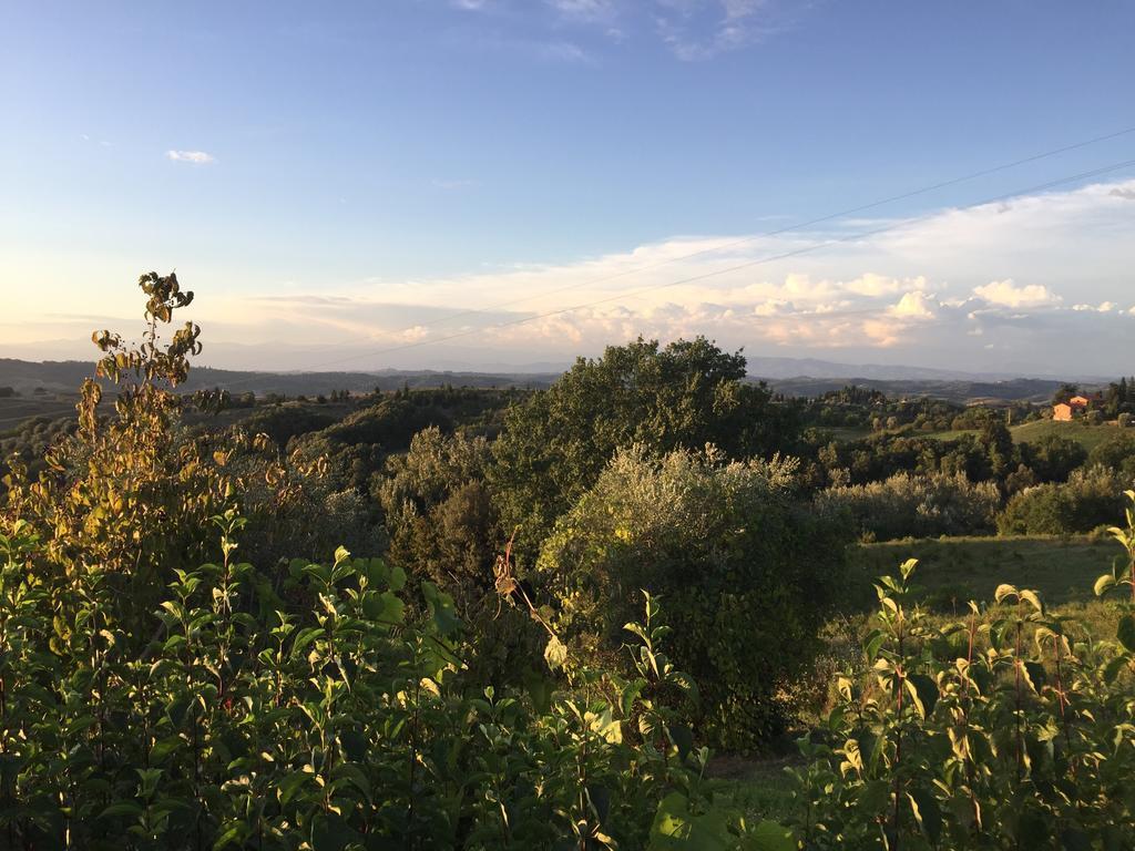 Da Tilli Alla Fornace - Agriturismo Montaione Eksteriør bilde