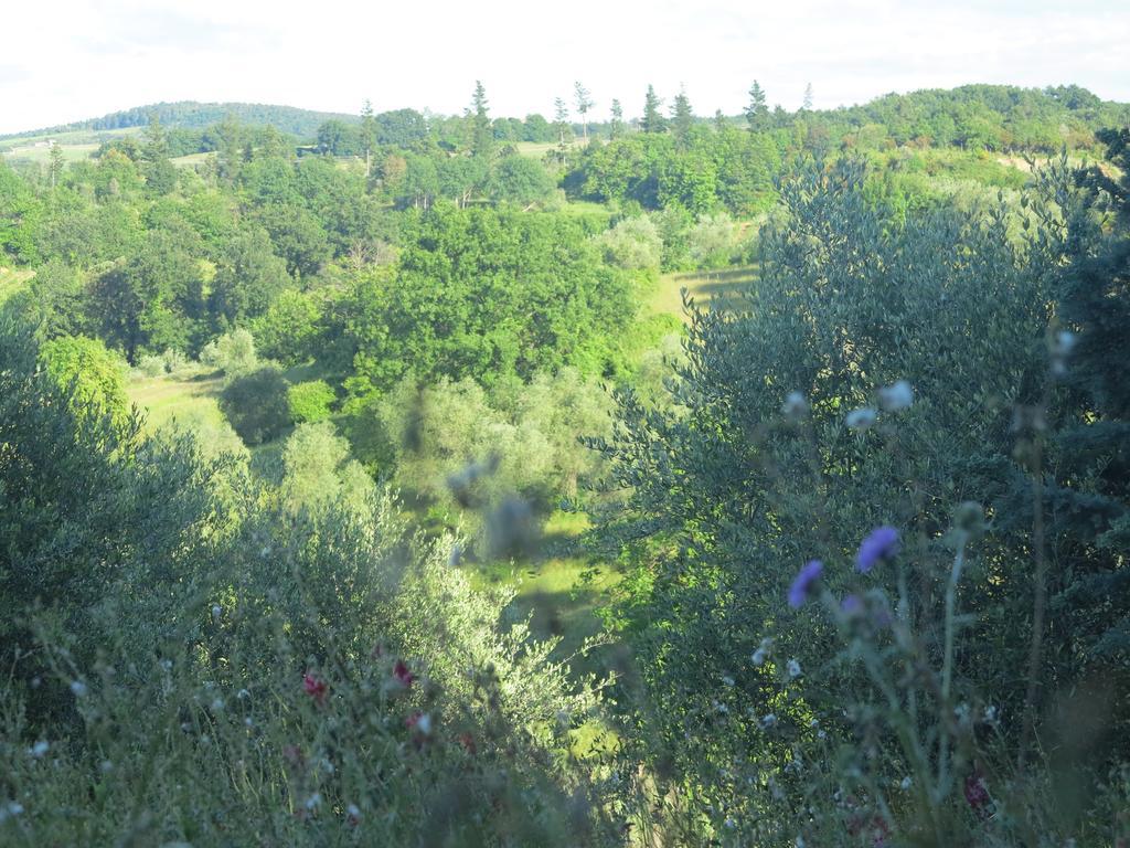 Da Tilli Alla Fornace - Agriturismo Montaione Eksteriør bilde